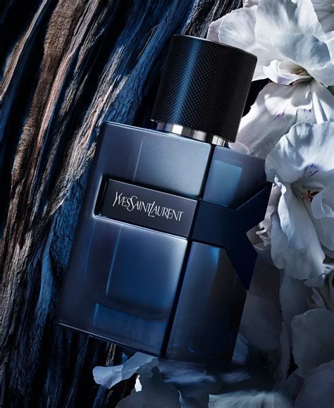 fragrantica ysl elixir